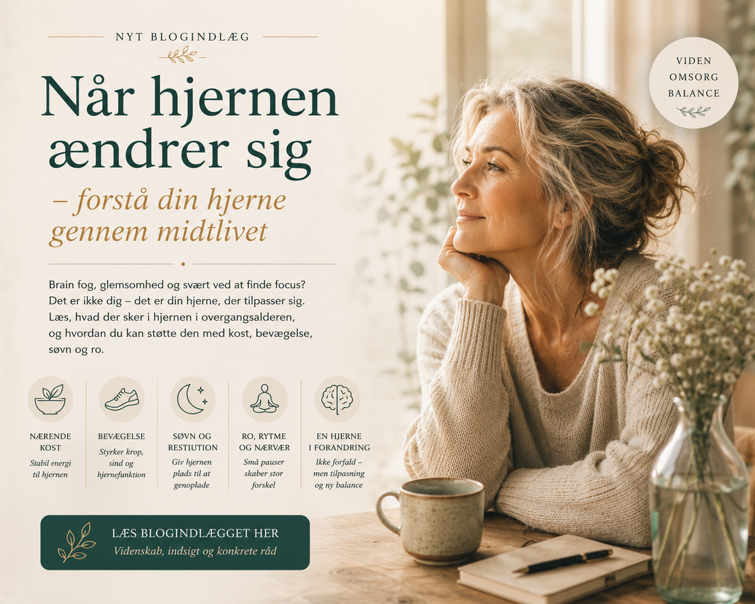 🌿 Når hjernen ændrer sig – forstå din hjerne gennem midtlivet