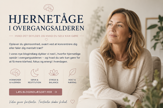 hjernetåge, overgangsalder, glemsomhed